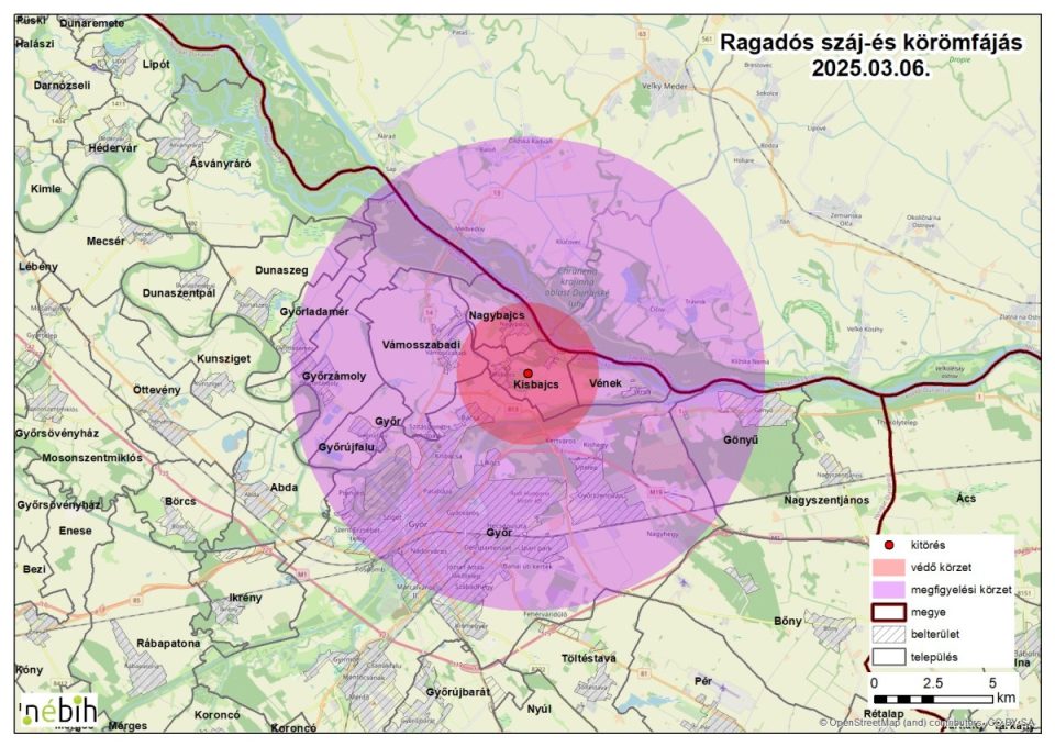 Rszkf_20260306.jpg